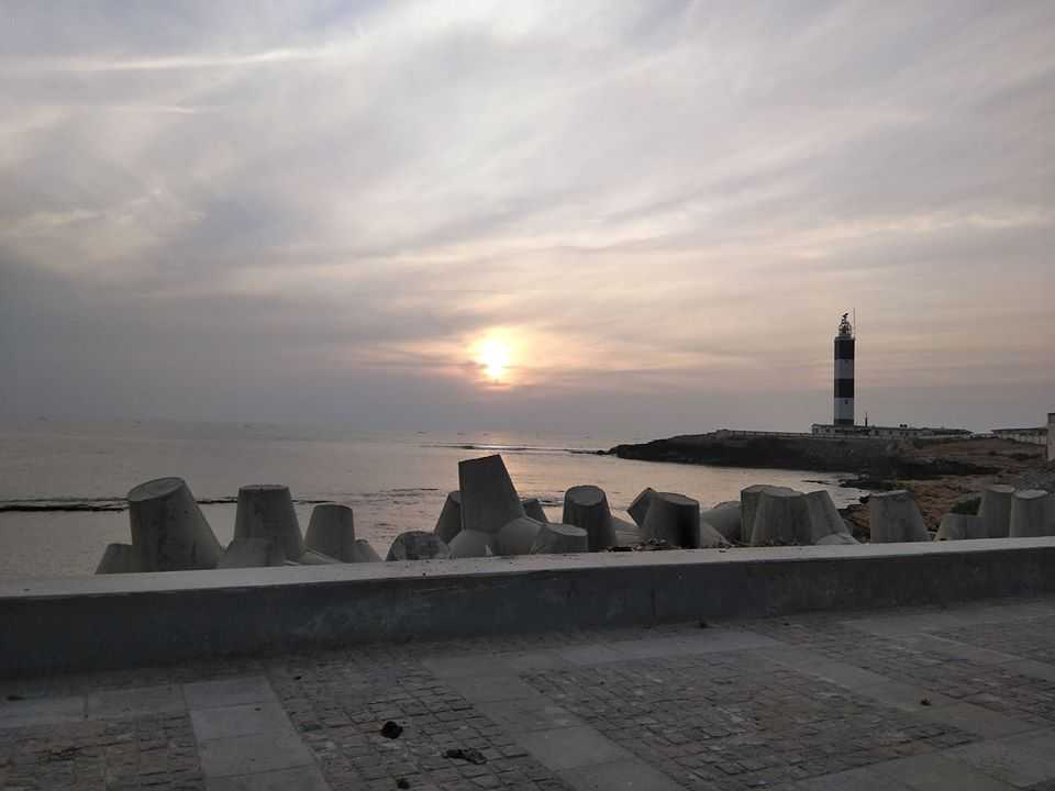 placeimg