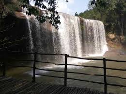 placeimg
