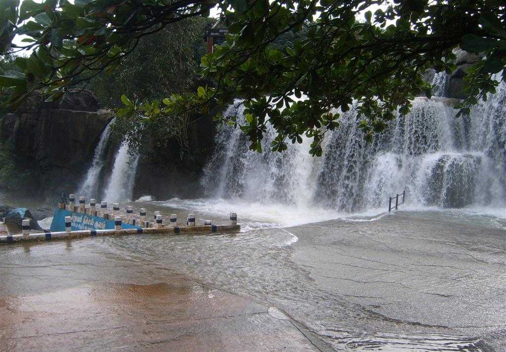 placeimg