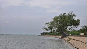 placeimg