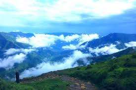 placeimg