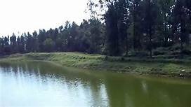 placeimg