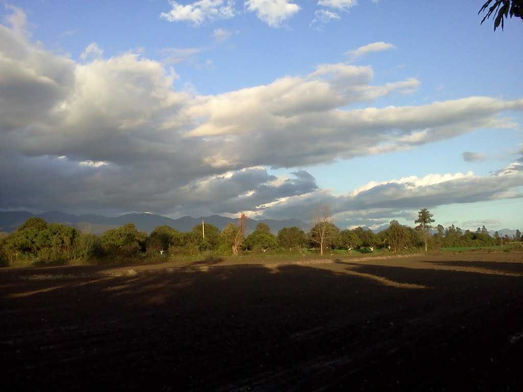 placeimg