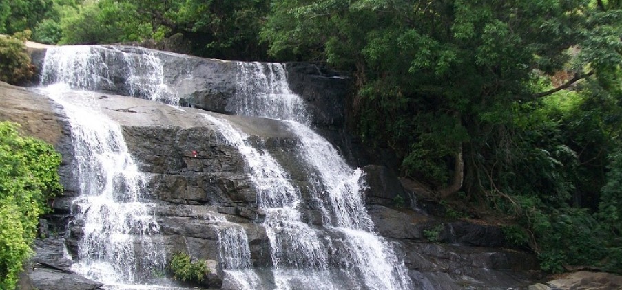 placeimg