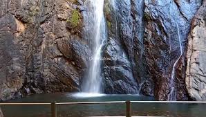 placeimg