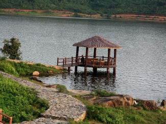 placeimg