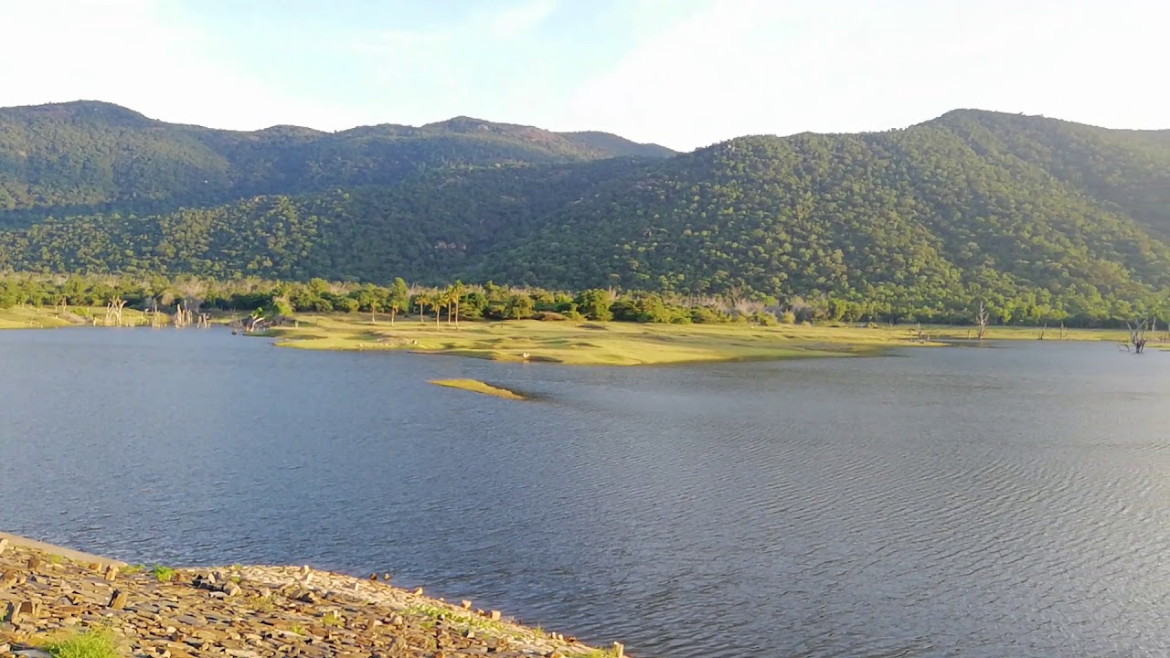 placeimg