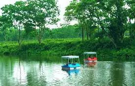 placeimg