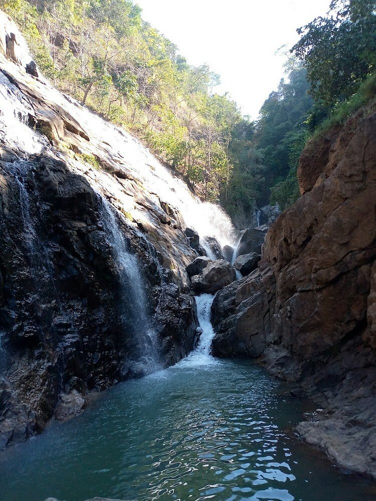 placeimg
