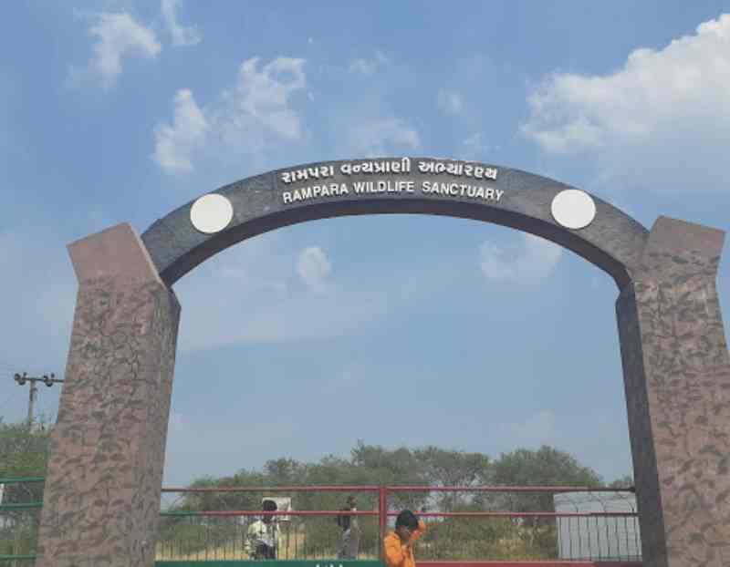 placeimg