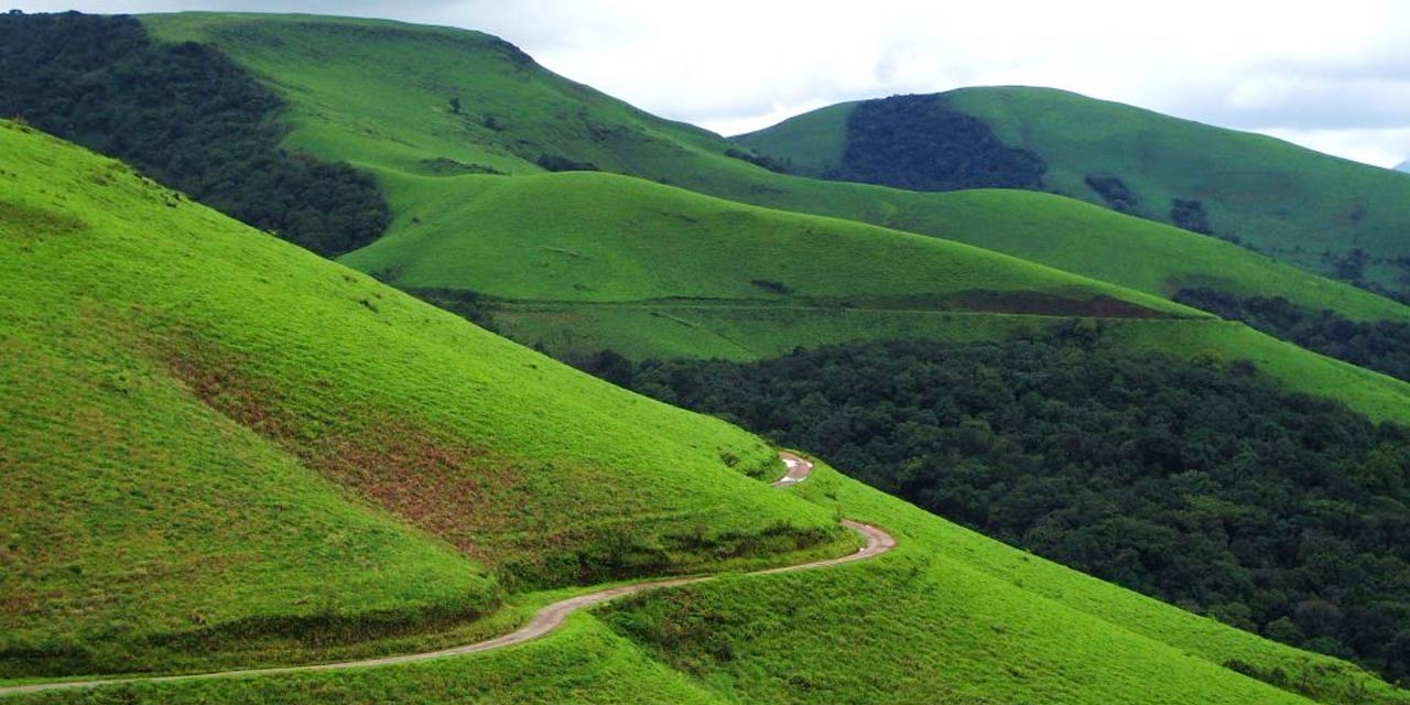 placeimg