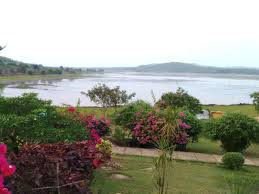 placeimg