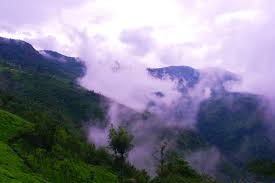 placeimg