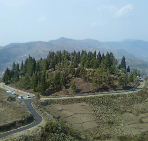 placeimg
