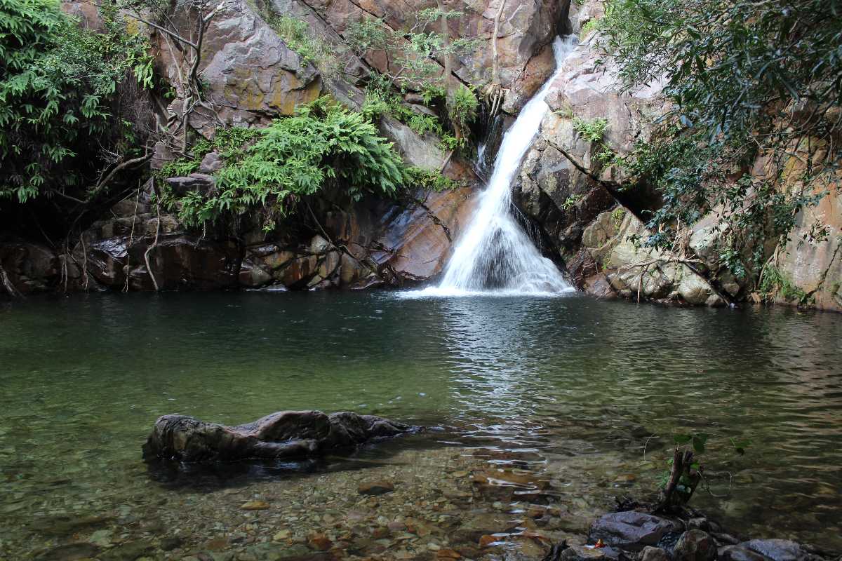 placeimg