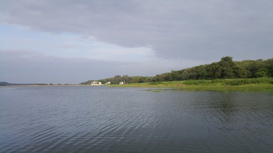 placeimg