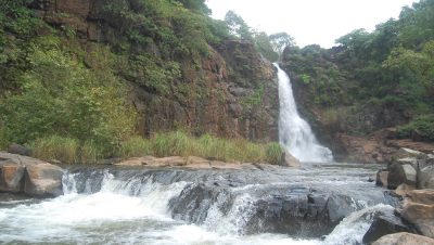 placeimg