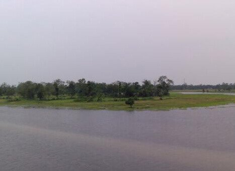 placeimg
