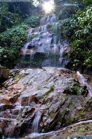 placeimg