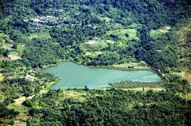placeimg