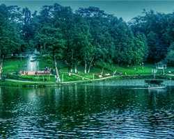 placeimg