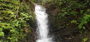 placeimg