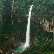 placeimg