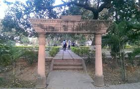 placeimg