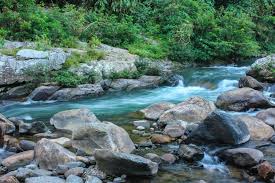 placeimg