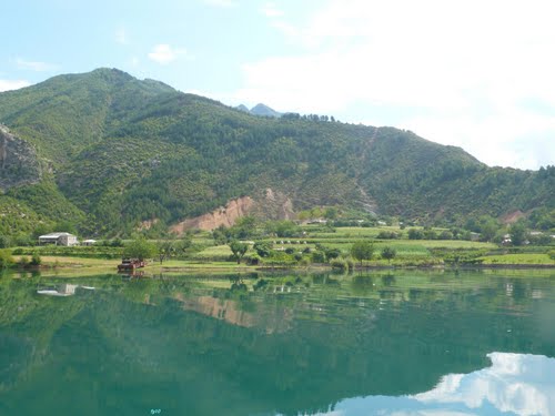 placeimg