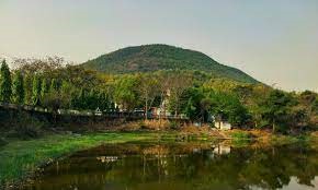 placeimg