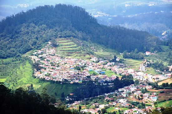 placeimg