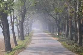 placeimg