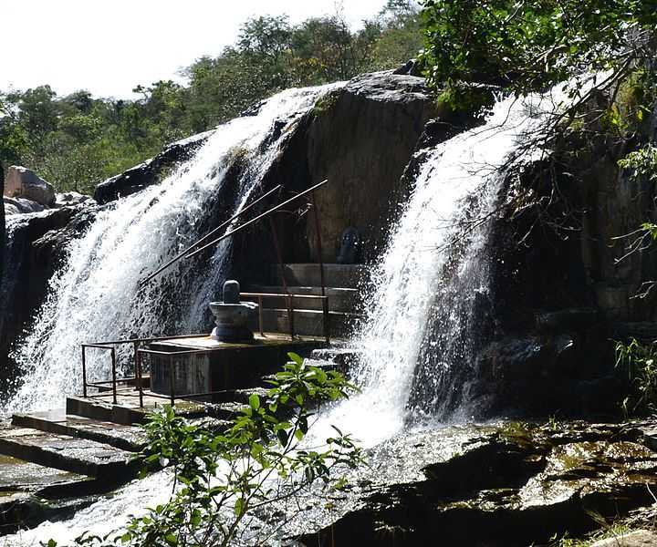 placeimg