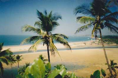 placeimg