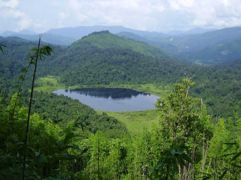 placeimg