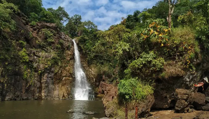 placeimg