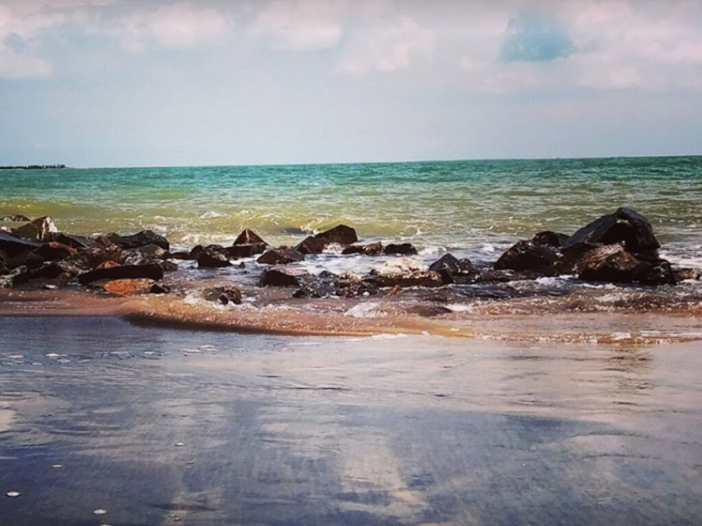 placeimg
