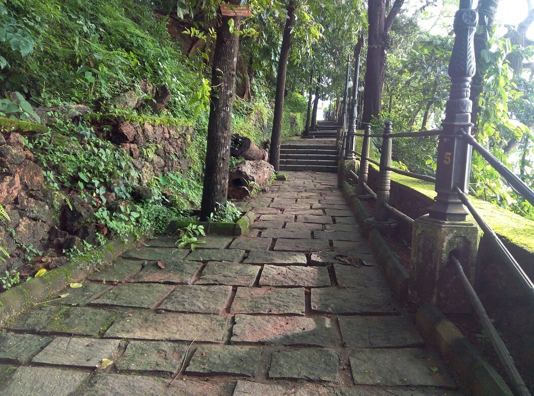 placeimg