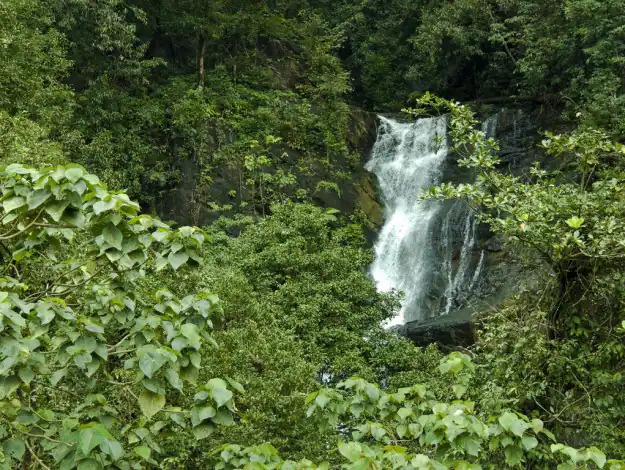 placeimg
