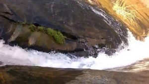 placeimg