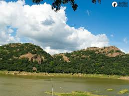 placeimg