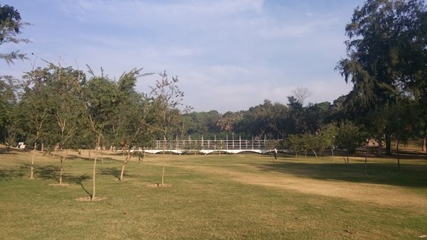 placeimg