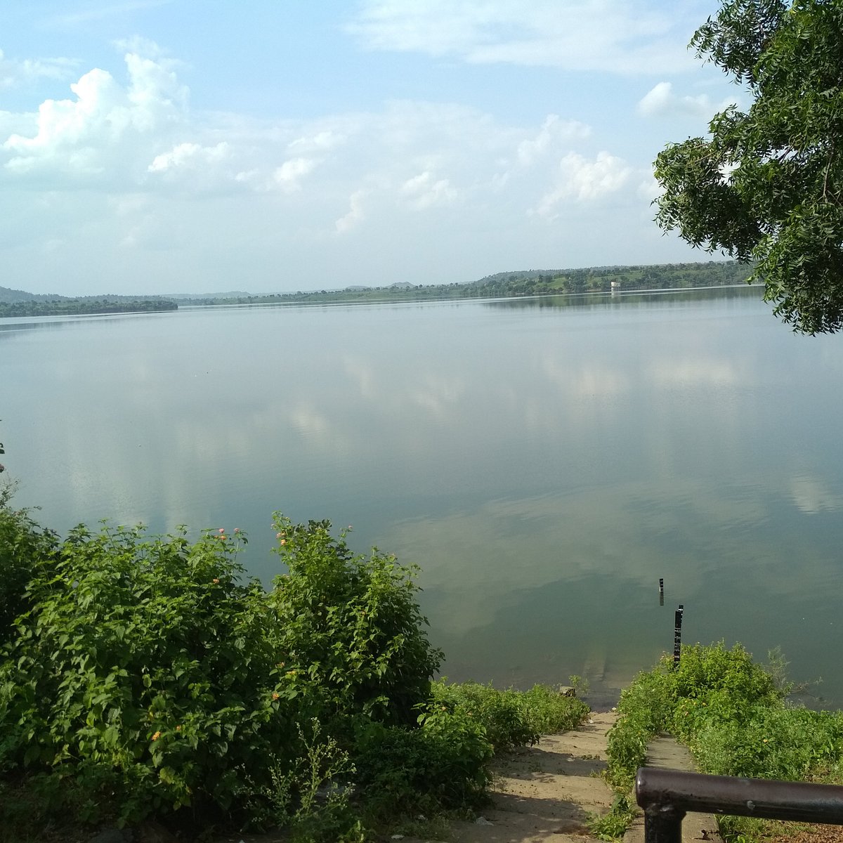 placeimg