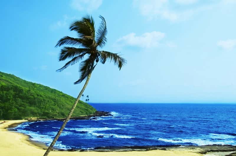 placeimg