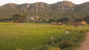 placeimg