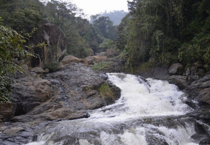 placeimg