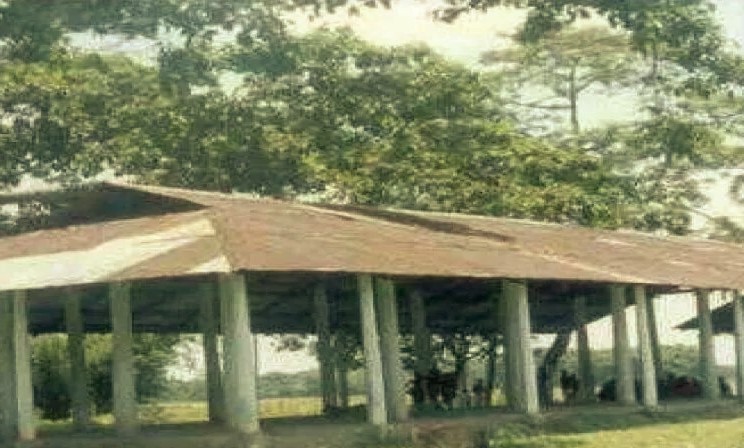 placeimg