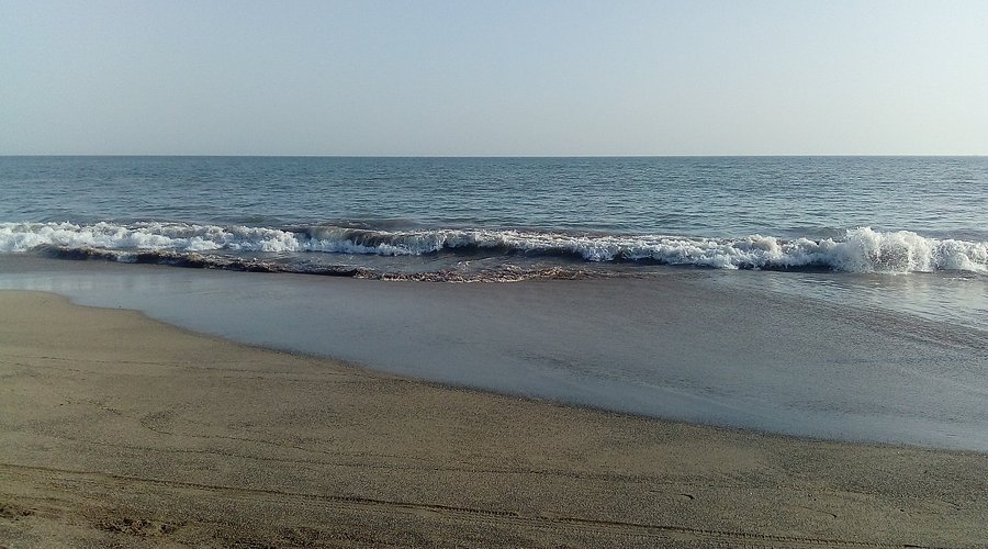 placeimg