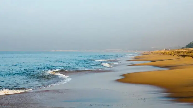 placeimg